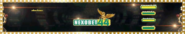 nexobet44  VSAHB3 12/22