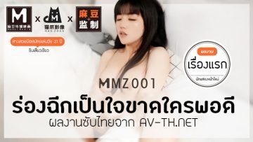 MMZ001 bị thiếu rãnh, vui lòng sử dụng bongs để lấp lỗ.